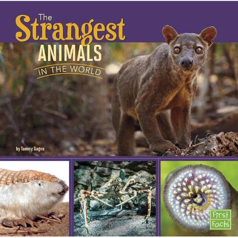 All About Animals: Strangest Animals in the World | by Tammy Gagne