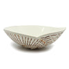 Nautilus Shell Bowl - White | by McGlashen Pottery