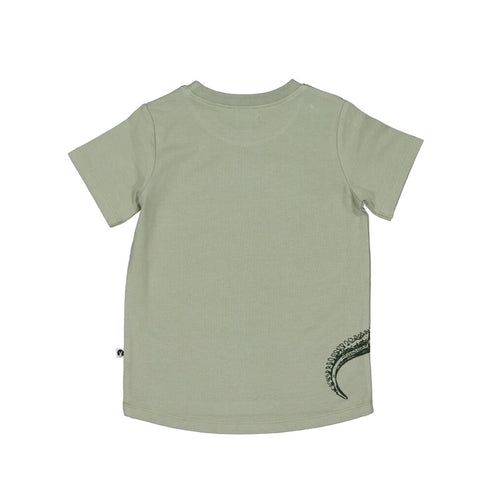 Tuatara T Shirts | Burrow & Be