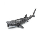 Whale Shark
