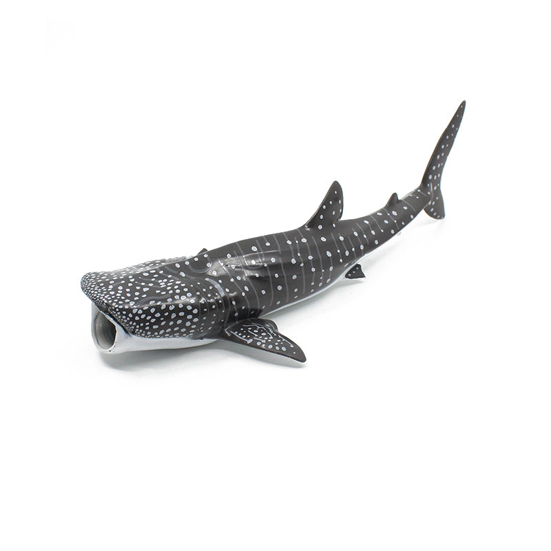 Whale Shark
