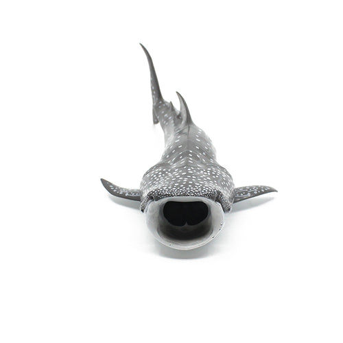Whale Shark
