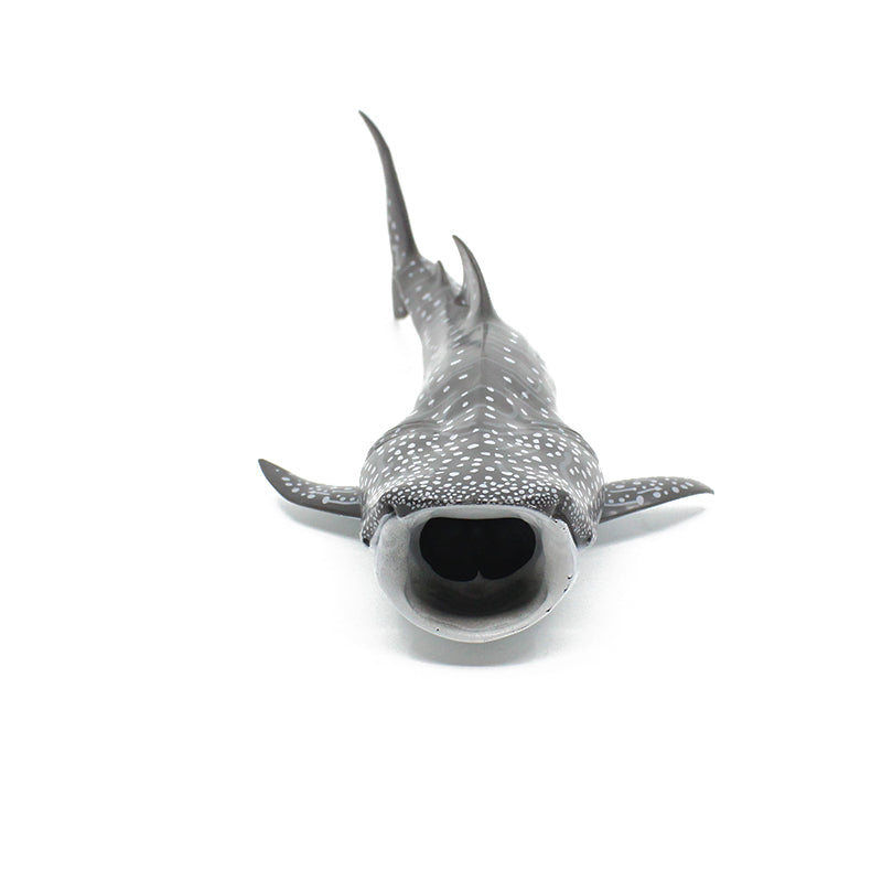 Whale Shark