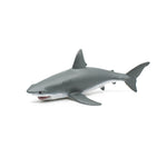 White Shark