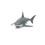 White Shark