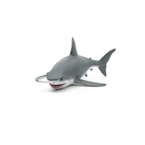 White Shark