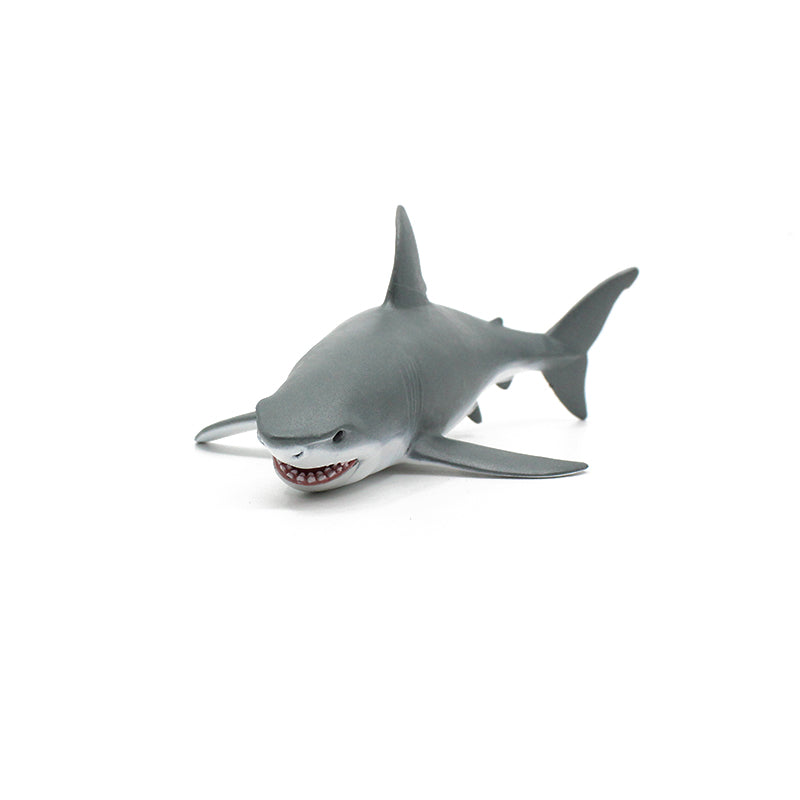 White Shark