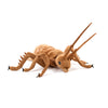 Wētā Soft Toy