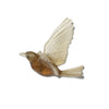 Glass Hihi / Stitchbird  Wall Sculpture  | by Luke Jacomb Studio