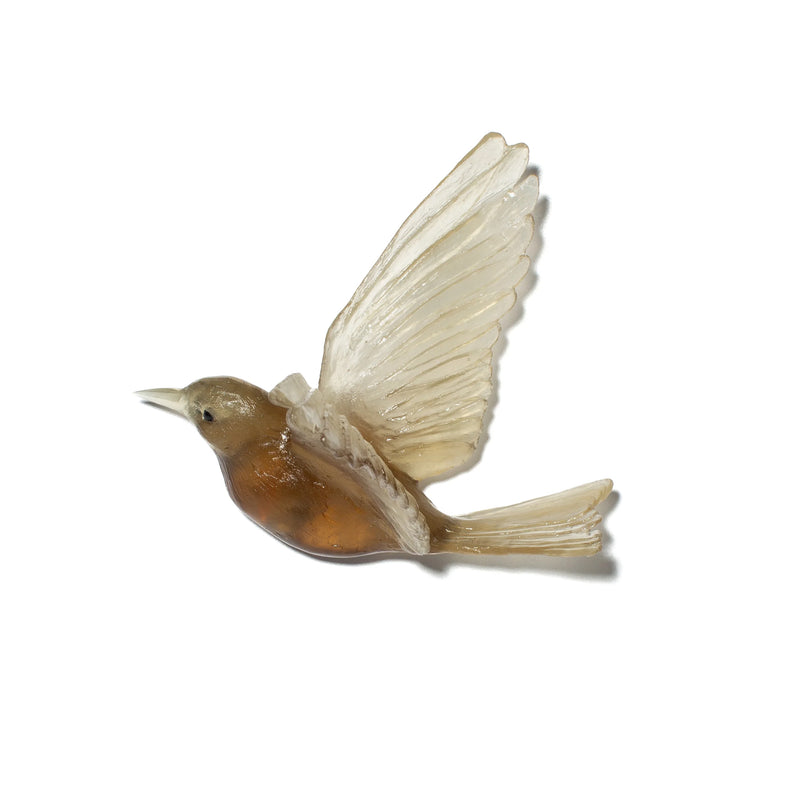 Glass Hihi / Stitchbird  Wall Sculpture  | by Luke Jacomb Studio