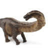 Apatosaurus