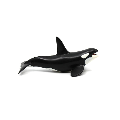 Orca