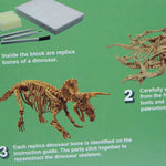 Triceratops Excavation Kit