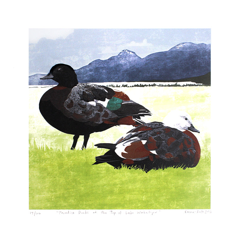 Paradise Ducks at the Top of Lake Wakatipu Print | By Emma-Kate Moore